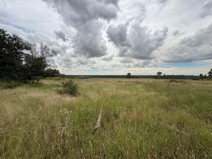 0 Bedroom Property for Sale in Vaalpark Free State